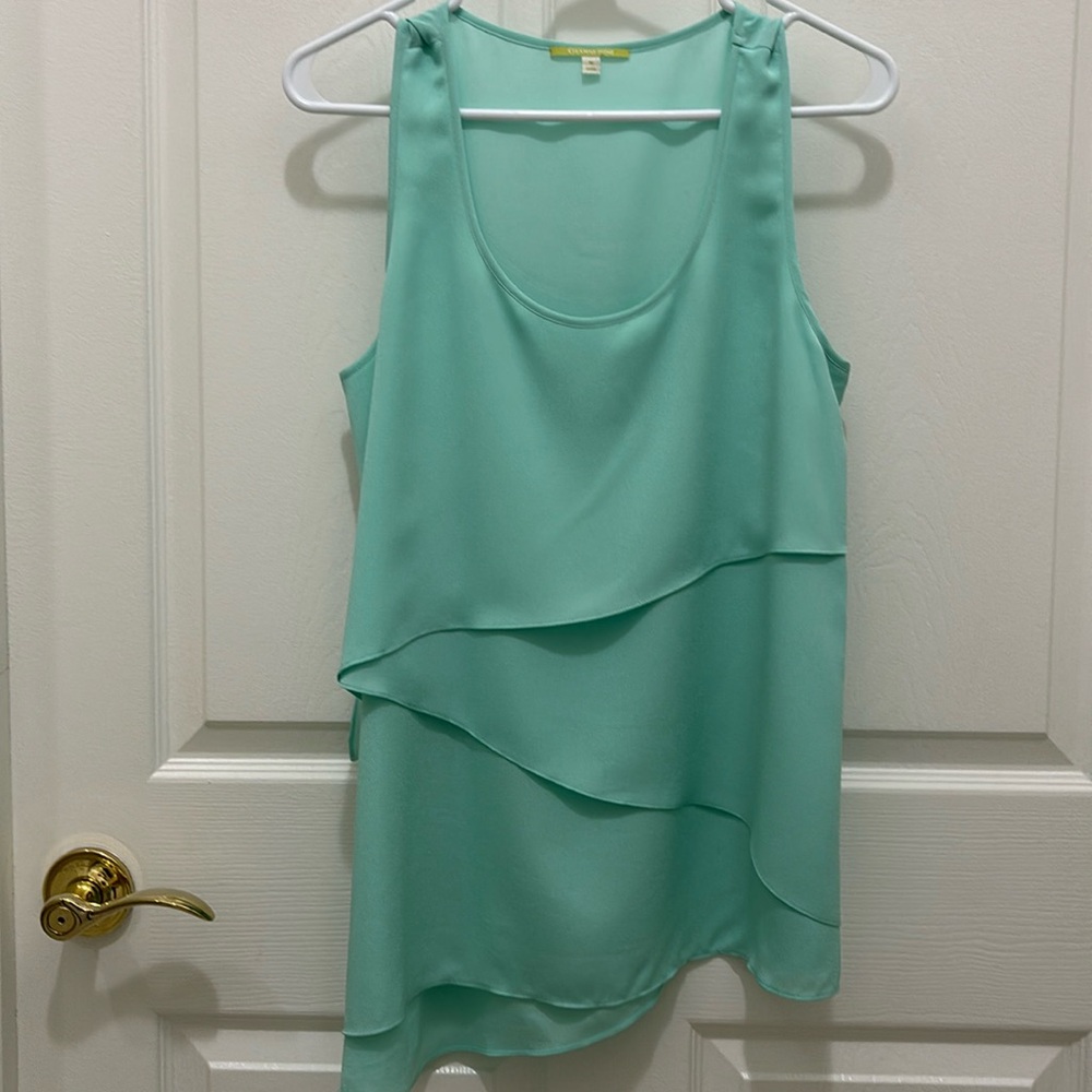 Gianni Bini Top, excellent condition worn maybe 2 times
